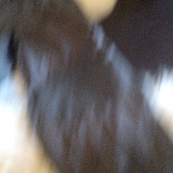 Rare FP movement parachute slate grey  joggers - Picture 7 of 7